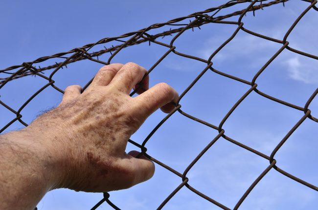 mano-e-filo Rieducazione