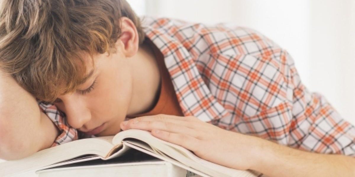 Ragazzo-che-dorme-sui-libri Studio