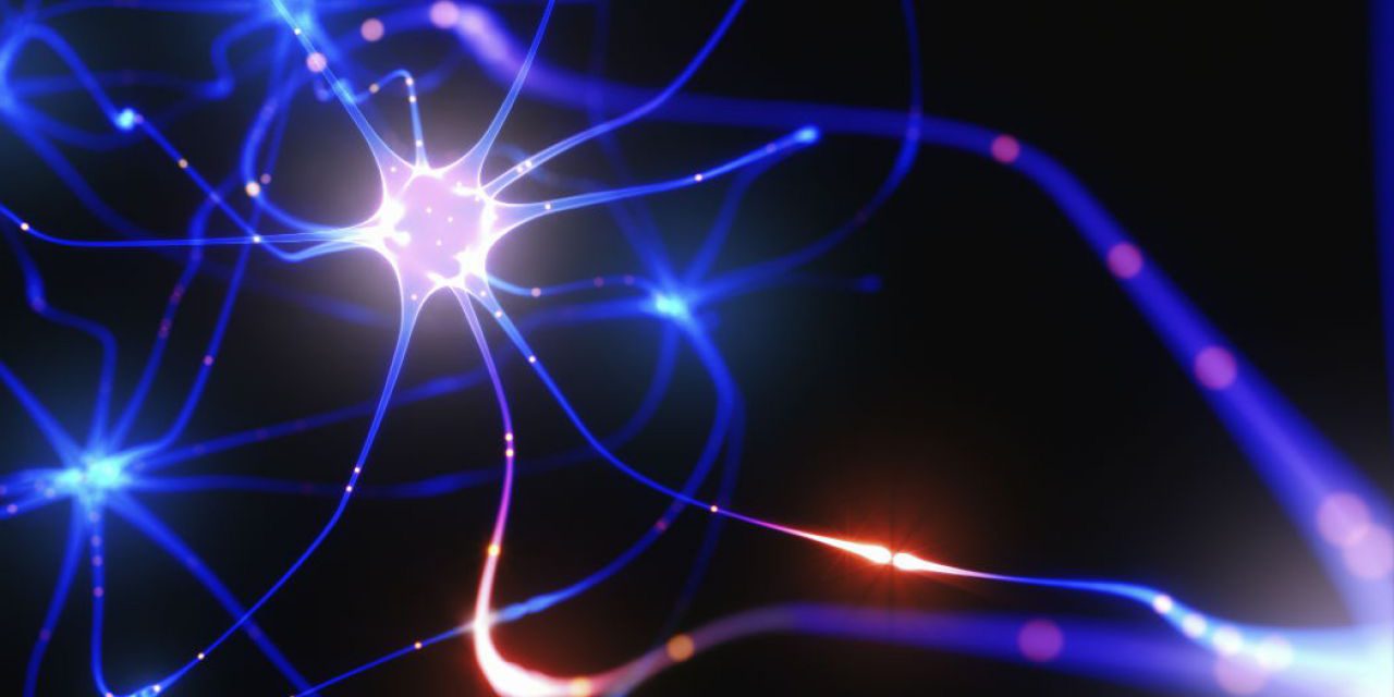 Neurone-del-cervello Ormoni