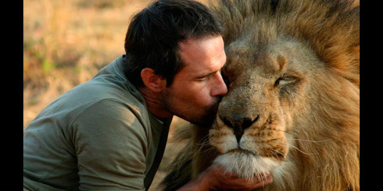 Uomo-che-bacia-un-leone Sensibilità